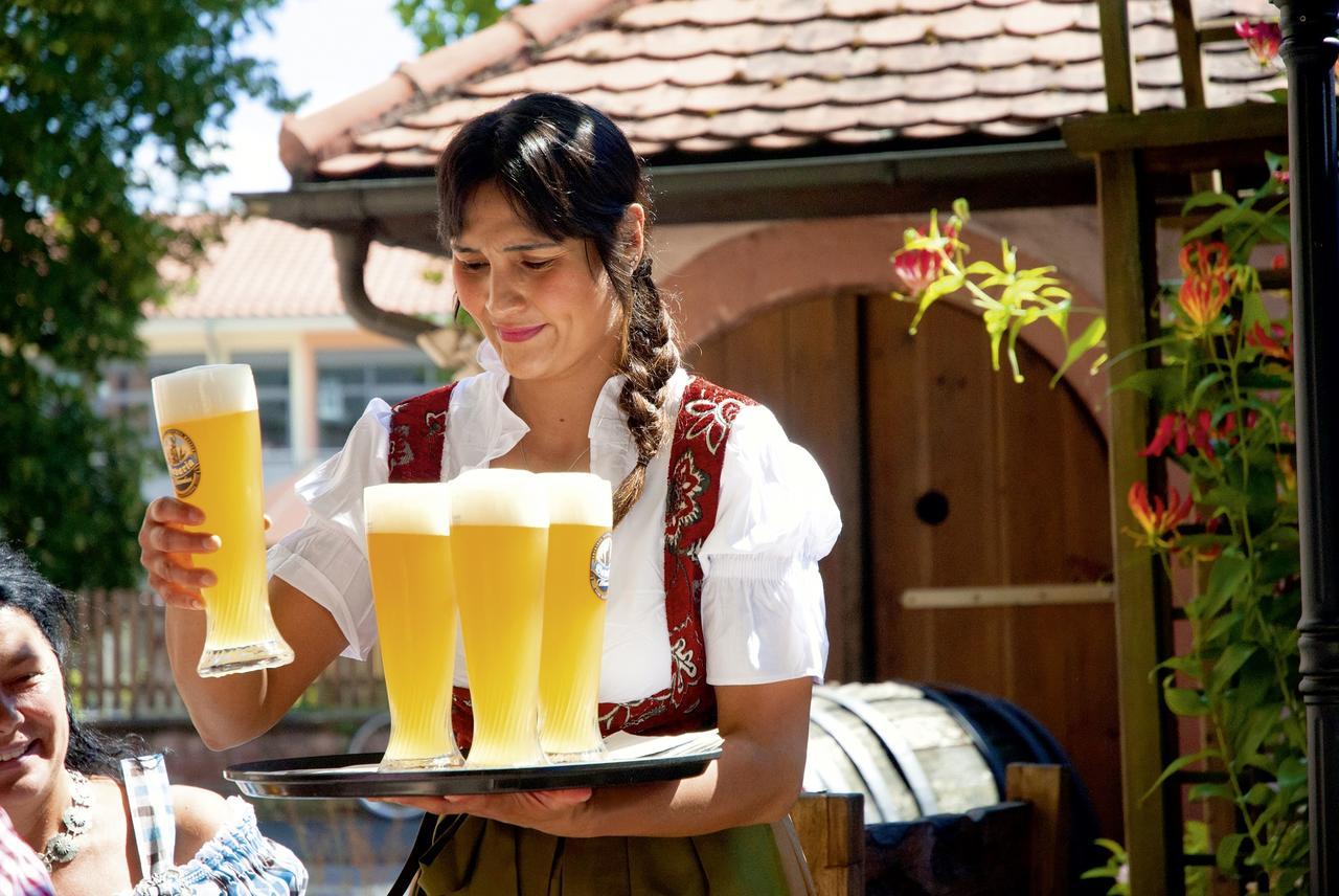 Landgasthaus Roemerhof Obernburg am Main Buitenkant foto